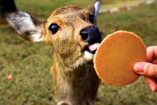 视频更新 YouTube、视频更新观众可见