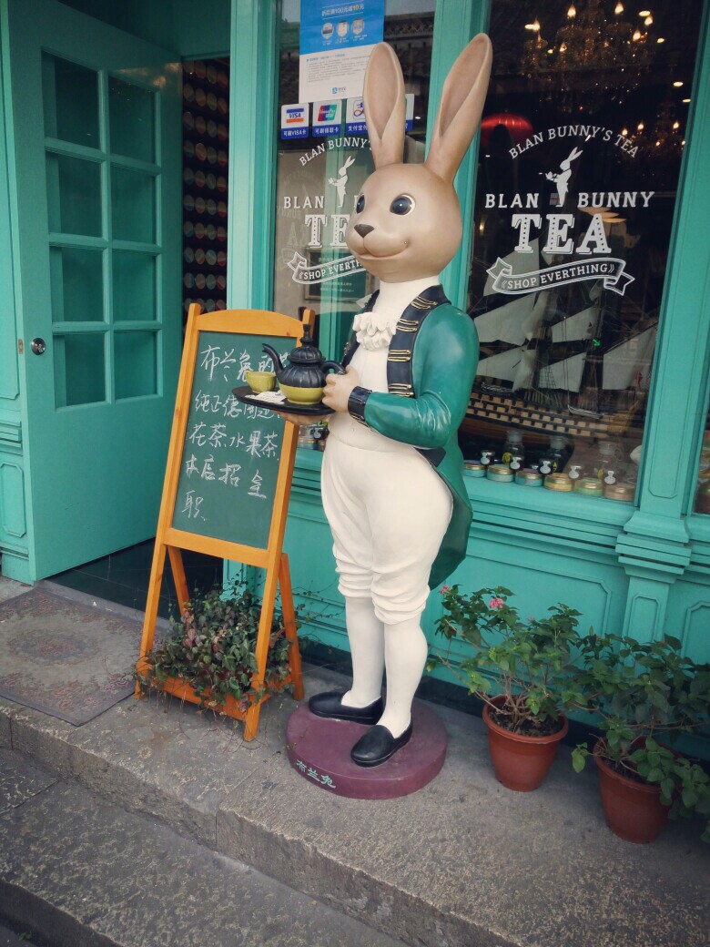 手术视频 手术视频病理和手术学知识