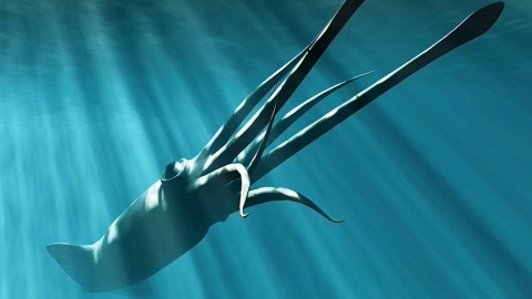 创造与魔法幼紫鲨饲料 比如游戏中的创造阳光海岸