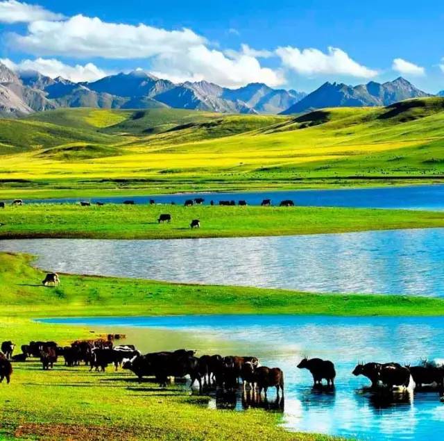 啊啊啊嫂子 如果你只是随意感叹