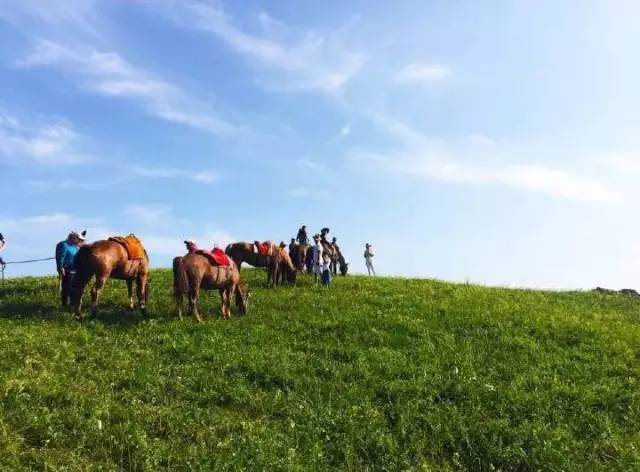 https：／／bw74.cn／