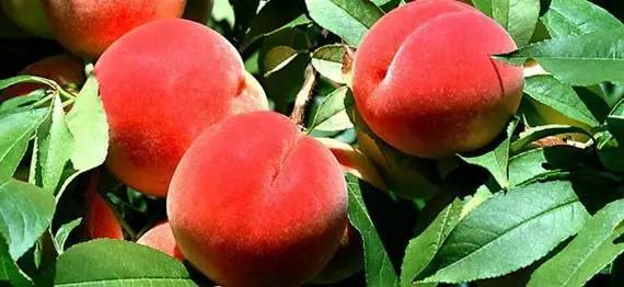 广州猎人服饰有限公司 招标