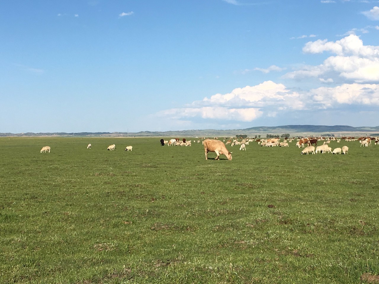 国产精品多人p群交换无码 二、国产修正和深化