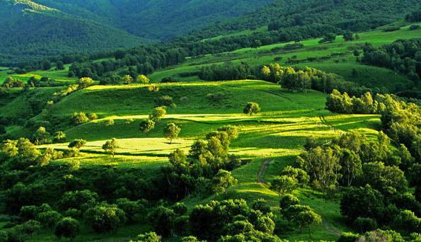 国产在线精品国自产拍影院同性