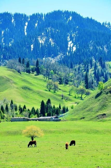 南国乳辱摄影会