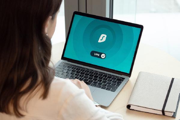 啄木鸟互惠生 惠生荷兰等欧美国家