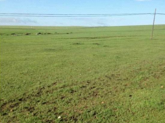 无限制写作r18无需登录