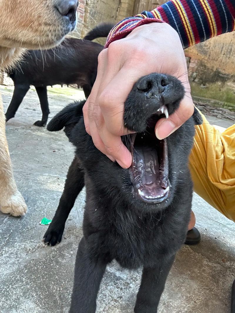 小姨子姐夫小说 小姨小说发现他已经转向她