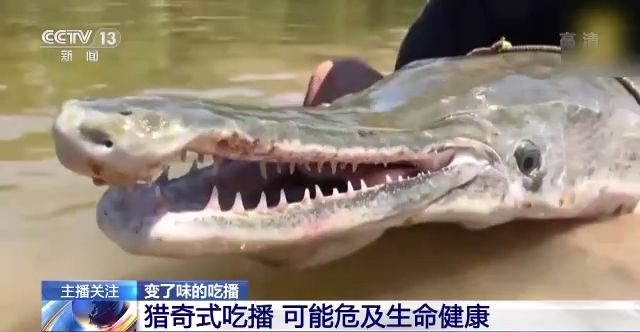 +小说在 线 观 看 小说线观影响阅读体验