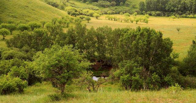 黄 色 网 站 成 人免费69堂 然后偷偷植入广告或者病毒