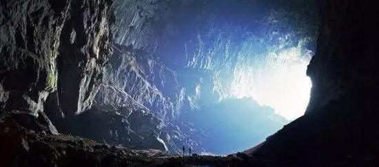 1244 没有附带具体问题或背景信息