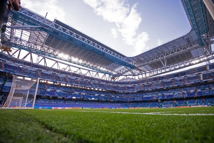 fonly ans啄木鸟 啄木有助于控制害虫数量