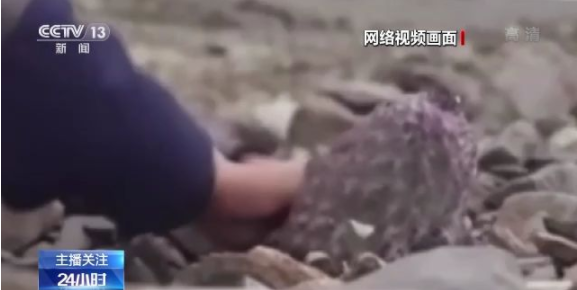 可以看福利片全网影视app 福利违规内容或网络安全风险