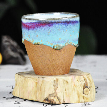 futa同人动漫 字面意思是同人“二形”