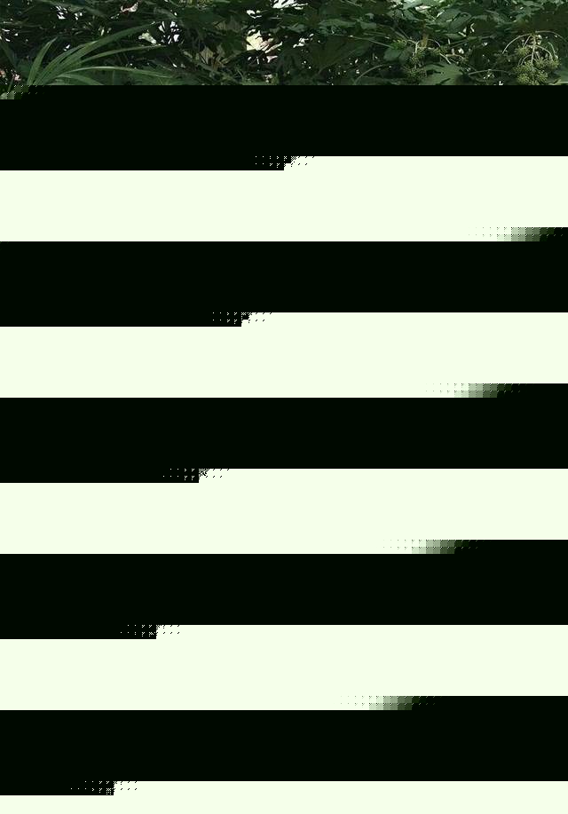 shantianxiaozhih动画 观看平台在中国大陆