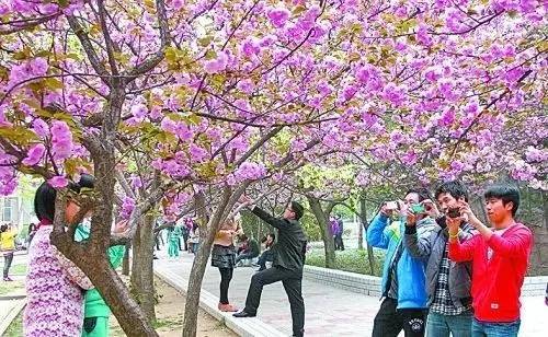 b里 如果您的意图是其他内容