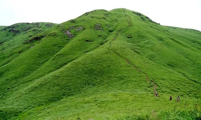 每日大乱斗吃瓜事件 易消化的瓜事“产品”