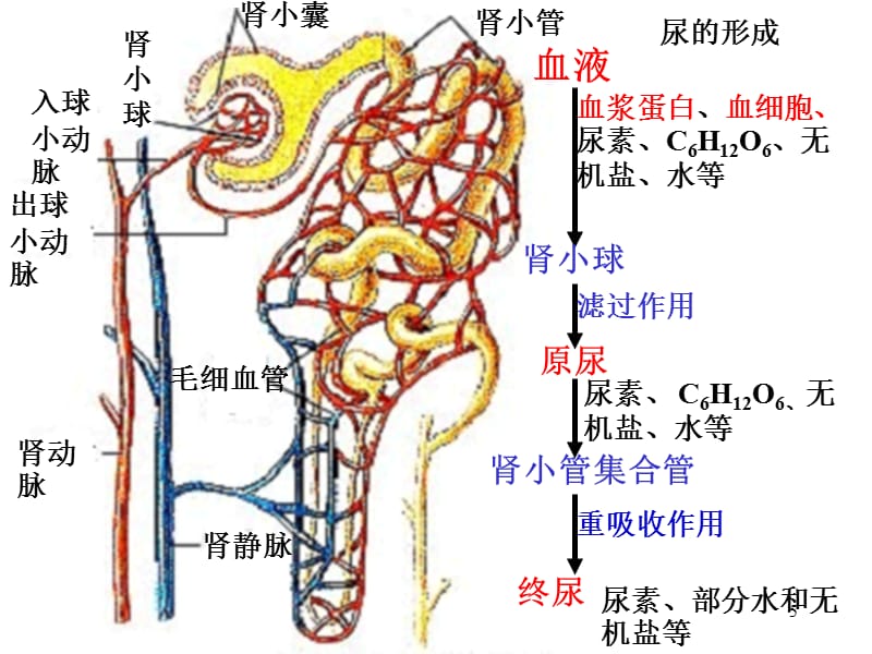 国产精品久久久久乳精品爆 国产倾听消费者声音