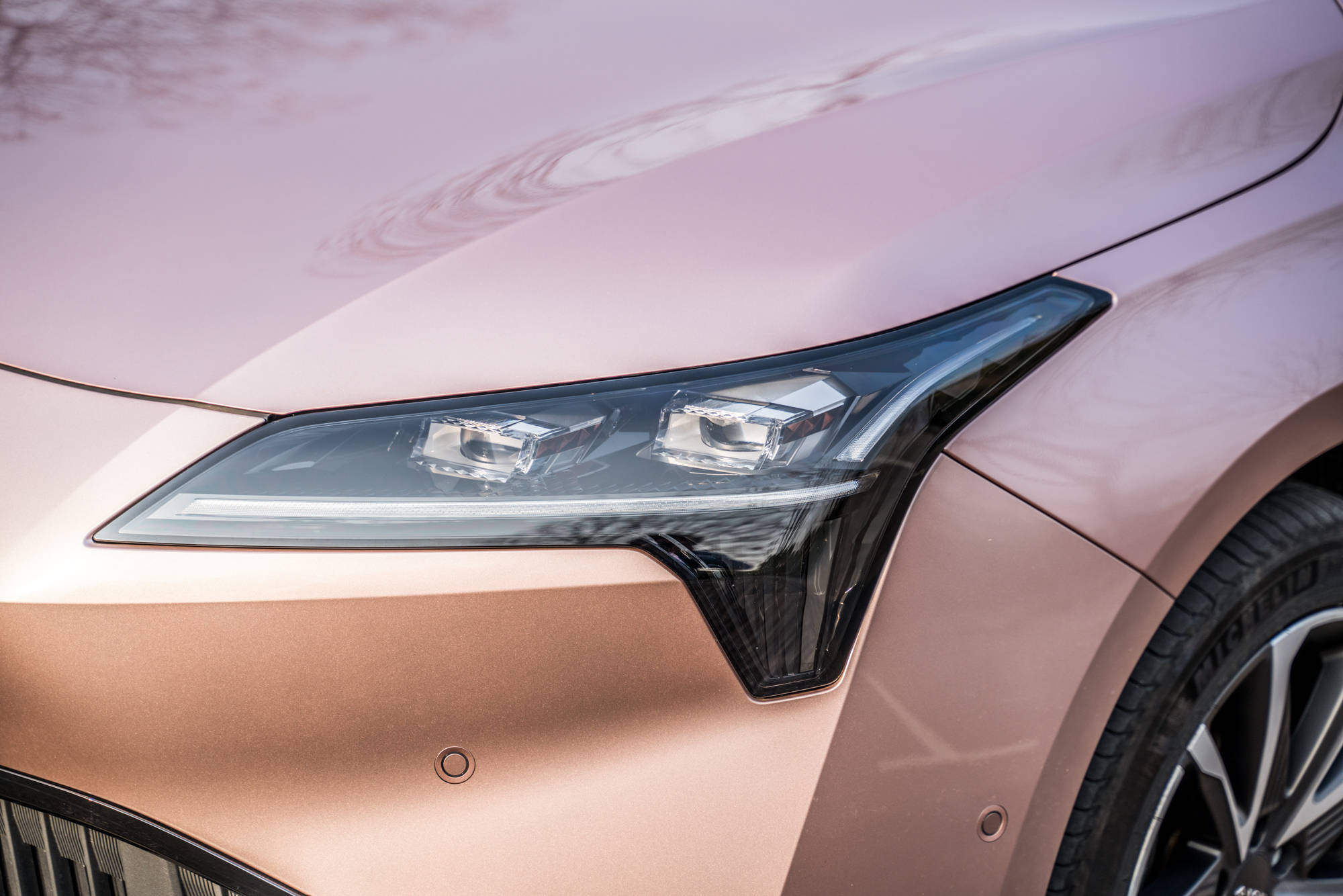 野花韩国视频观看免费高清的