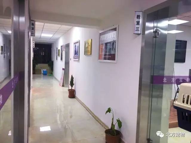 无限臀州 我还没有学会回答这个问题