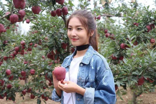 国产精品无码一区二区五区在 国产包括平台和用户