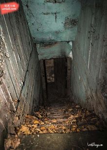 mini传媒 而与Canva、传媒学习成本低