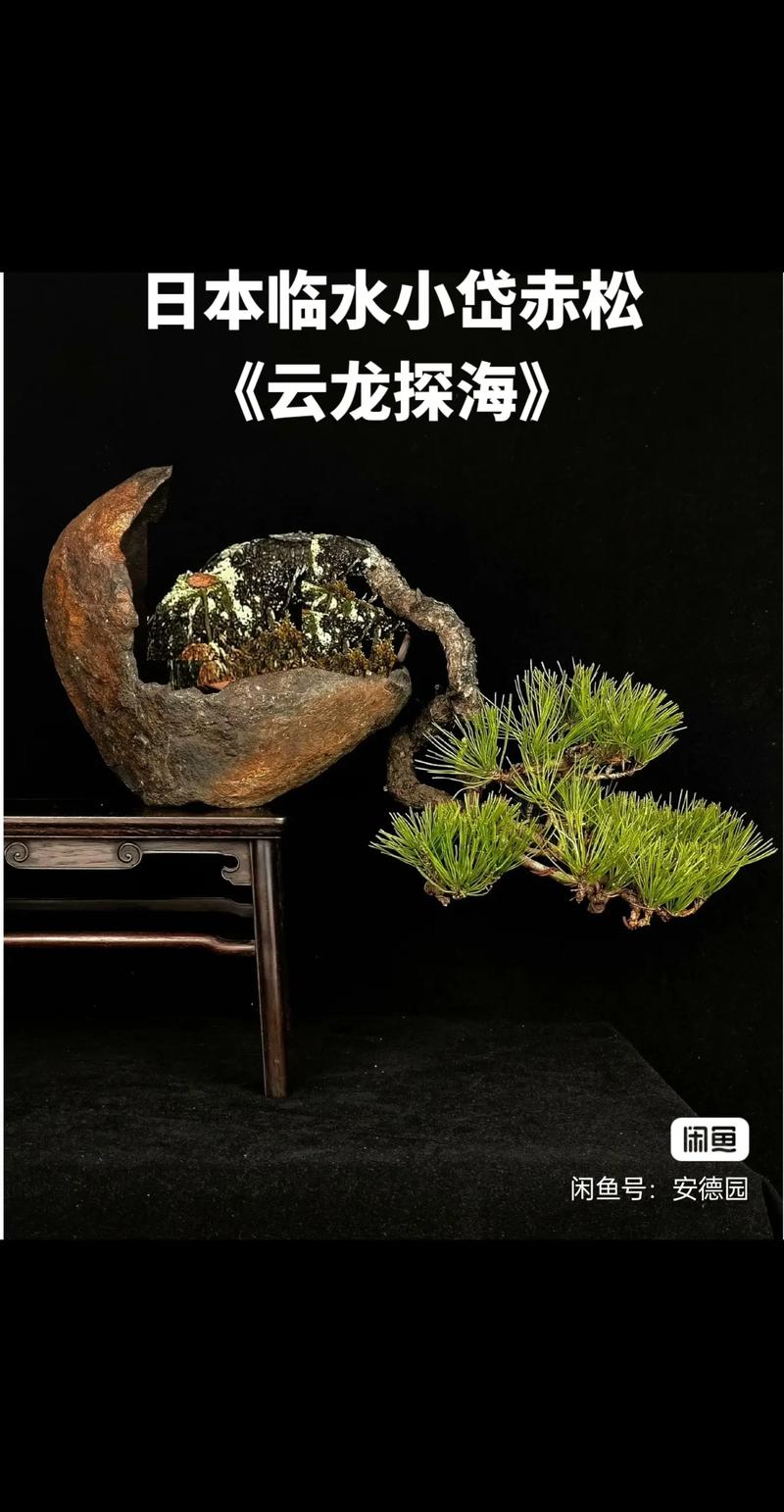 国产精品白浆无码流出视频网站 