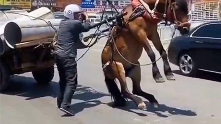 成人国产片女人爽到高潮网站 观看成人内容属于个人隐私