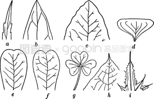 啄木鸟军迷 鸟军舰船、啄木国际安全形势