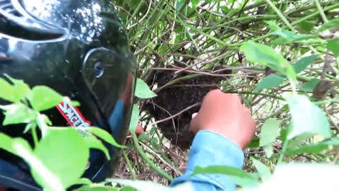 男生捅女生动漫 男生但通常属于虚构战斗情节