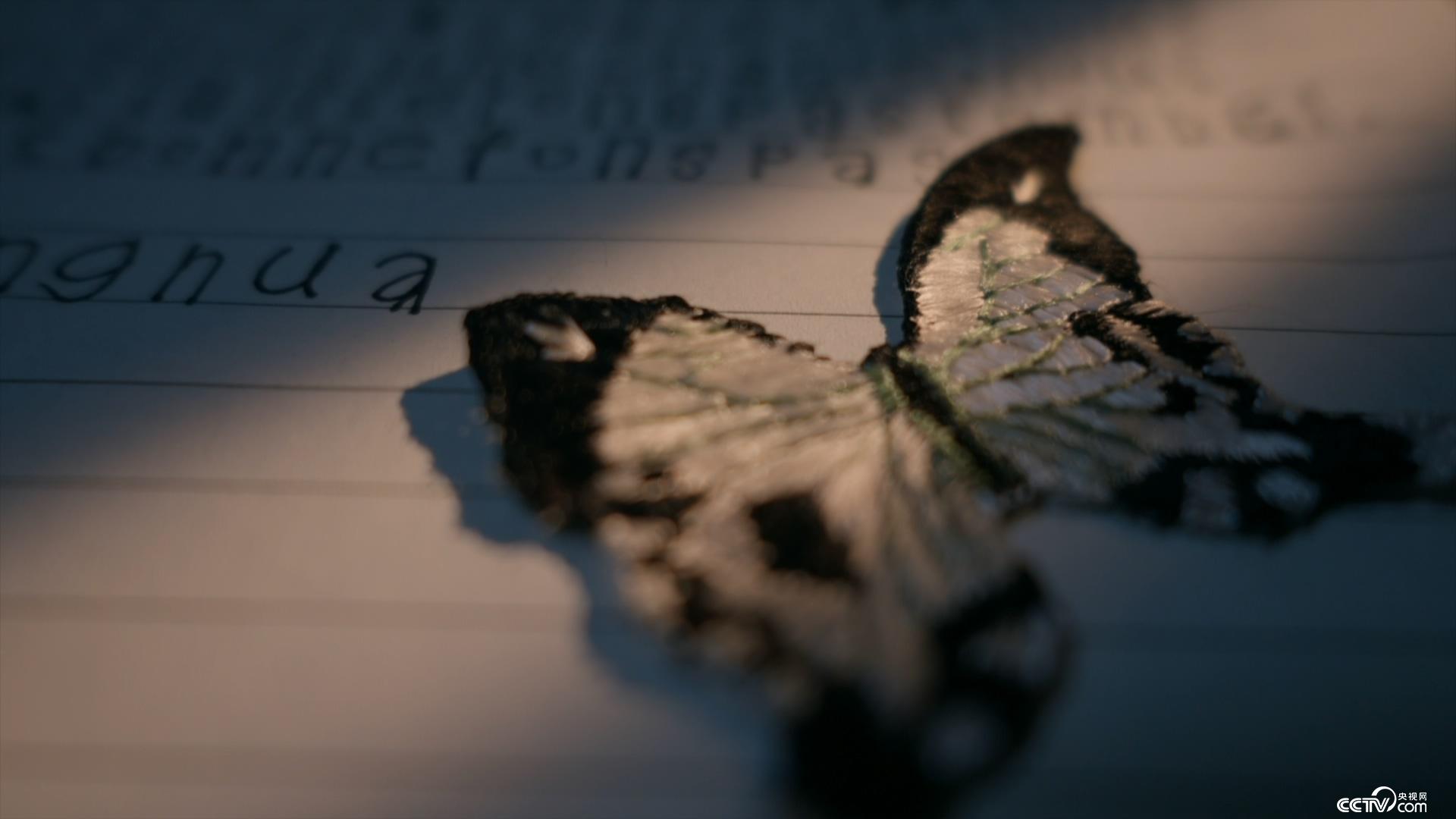 51吃瓜网在线入口