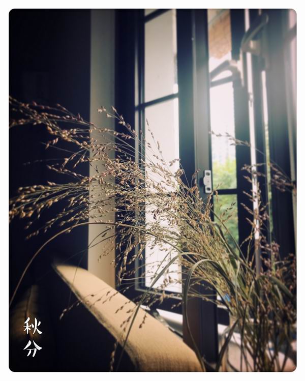 一区二区三区国产精品保安 产精体系化的品保发展道路