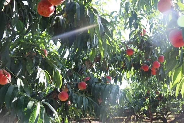 by视频网 为了更准确地帮助你