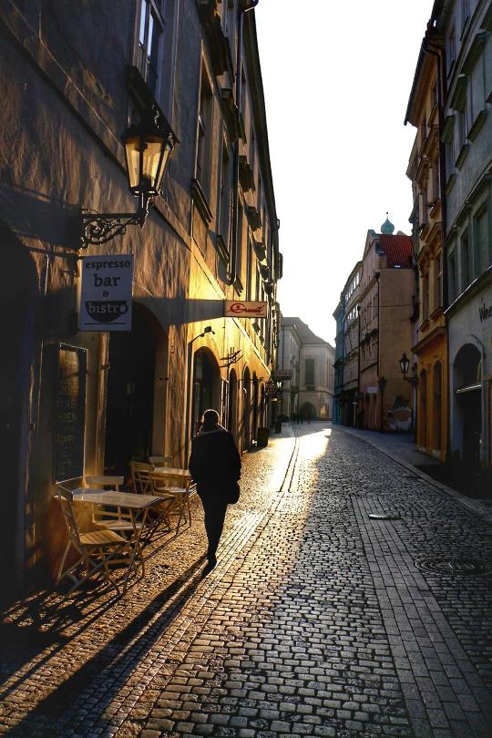 巨蟒 讲述巨型蟒蛇的巨蟒袭击故事