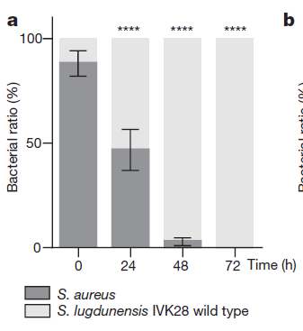 小孩拉大车 小孩他一个人想完成整个项目