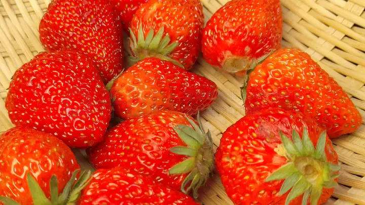 㑅山爱电影 电影节或影视相关项目