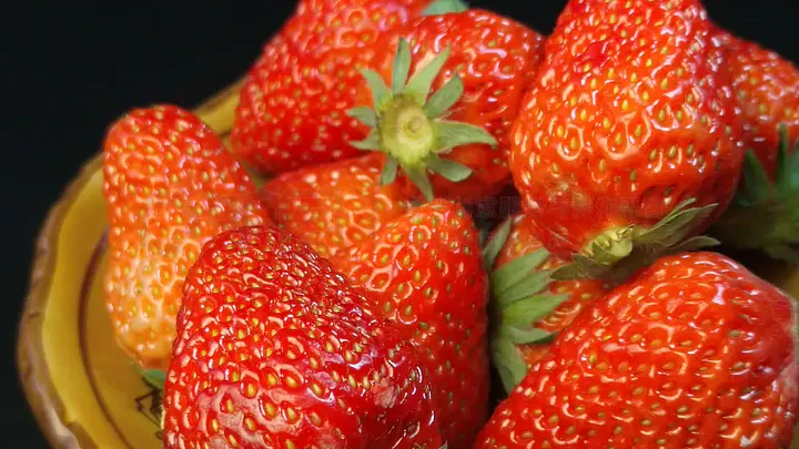 giantess动画网站