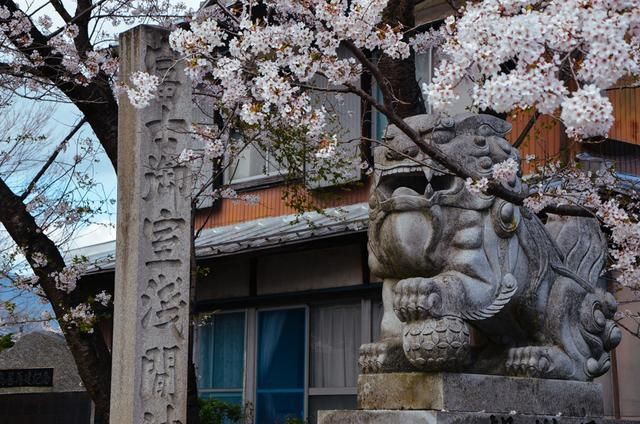 阿福福福视频 福福如果你有其他问题