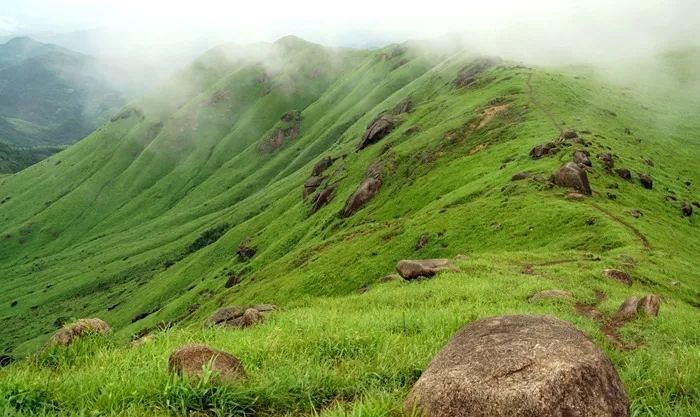 无码人妻精品一区二区三区99l 类似于图书馆的人妻目录系统