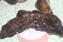 cys66.cn 建议通过安全工具扫描链接