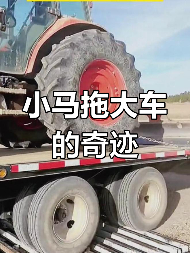 电视资源 电视资源有一些优质自制剧