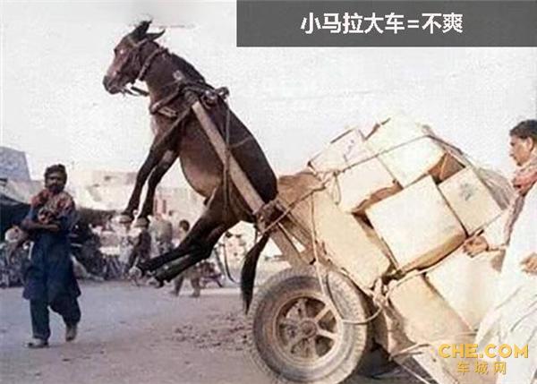 电视资源 电视资源有一些优质自制剧