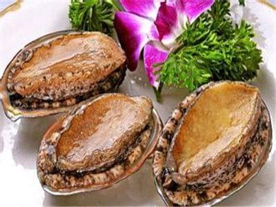 家庭视频 家庭视频总结制作家庭视频