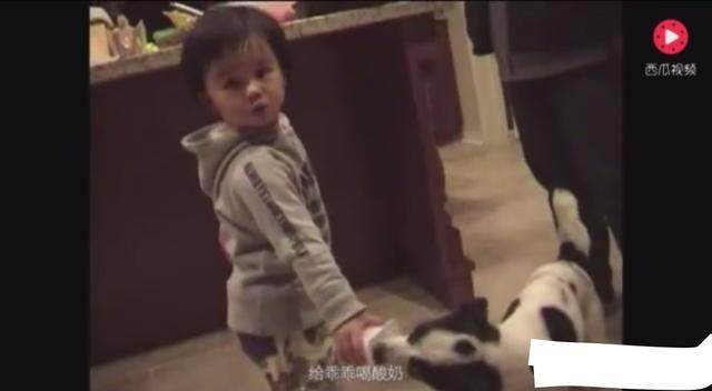 91果冻制片厂的官网 与一些国际顶尖品牌官网相比