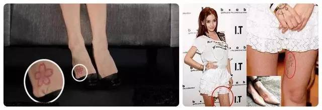 九九在线观看精彩视频欧美人与性动交α欧美精品 观众可以轻松访问这些资源