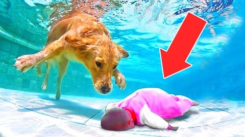 超色的小说 是超色未说出口的半句话