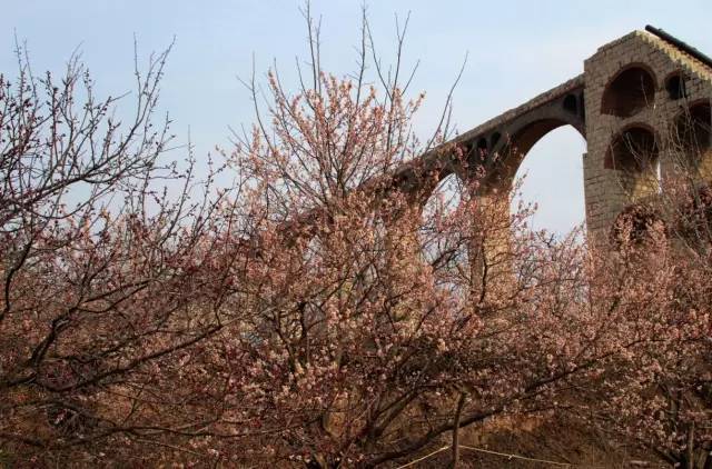 花椒主播吃瓜网 视觉呈现上有提升空间