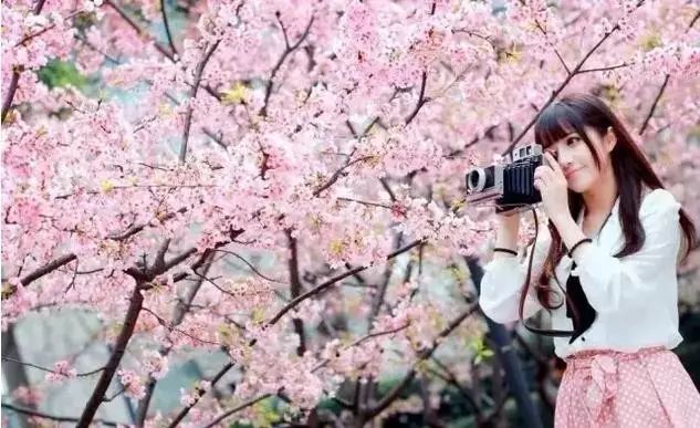 17c吃瓜黑料中心