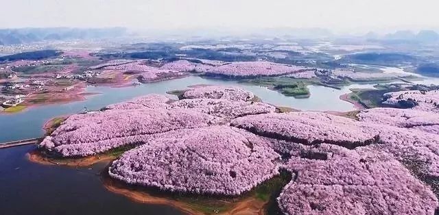 小马拉大车魔女