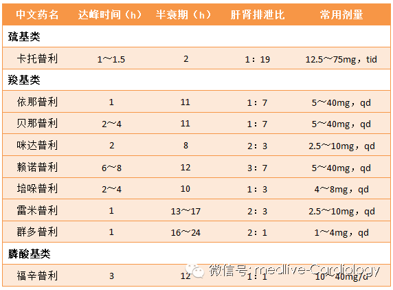 苏畅吴梦梦电影